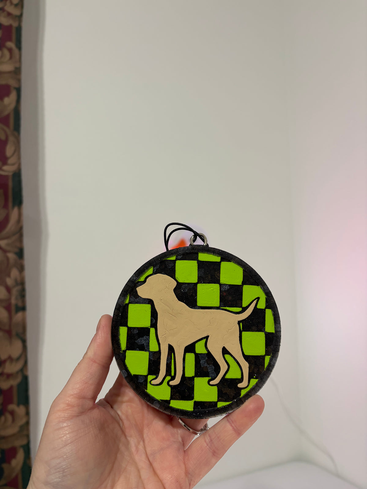 Checkered dog
